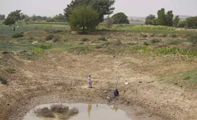 Umaru Muazu , 62 years old, watch as workers prepare to water a farm from a murky puddle in Kwalkwalawa, northwestern Nigeria, Feb. 22, 2025. (AP Photo/Sunday Alamba)