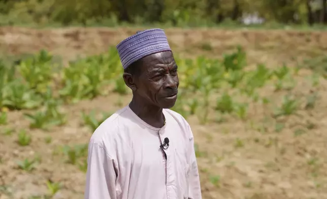 Umaru Muazu, 62 years old, speaks during an interview on his farm in Kwalkwalawa, northwestern Nigeria, Feb. 22, 2025. (AP Photo/Sunday Alamba)