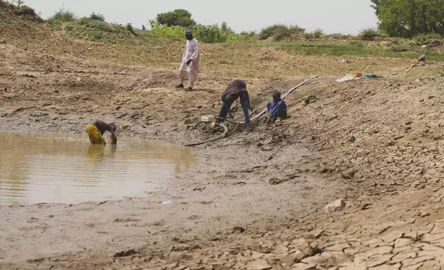 Umaru Muazu, 62 years old, watches as workers prepare to water a farm from a murky puddle in Kwalkwalawa, northwestern Nigeria, Feb. 22, 2025. (AP Photo/Sunday Alamba)