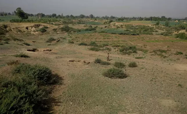 A man walk past a drying river in Kwalkwalawa, northwestern Nigeria, Feb. 22, 2025. (AP Photo/Sunday Alamba)