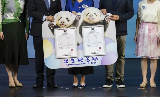 Guests hold a birth certificate of the Hong Kong-born giant panda twin cubs Jia Jia and De De during the naming ceremony in Hong Kong, Tuesday, May 27, 2025. (AP Photo/Chan Long Hei)