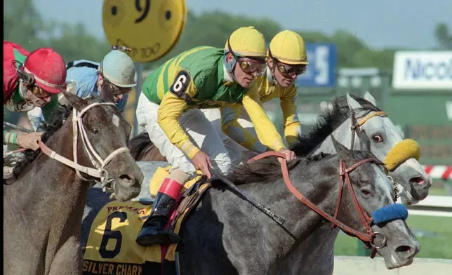 FILE - Jockey Gary Stevens is up in the stirrups of Silver Charm just past the finish line after beating out Captain Bodgit, left, with Alex Solis up, and Free House, right rear, with Paco Gonzalez up, to win the 122nd running of the Preakness Stakes horse race, Saturday, May 17, 1997, at Pimlico Race Course in Baltimore. (AP Photo/Steve Nesius File)
