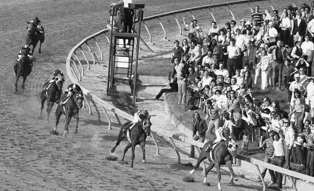 FILE - Secretariat, right, leads the field coming out of the final turn as he heads for the finish line to wn in the 98th Preakness Stakes Saturday, May 19, 1973 at at Pimlico Race Course in Baltimore. (AP Photo/File)