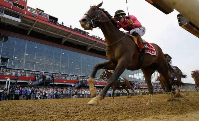 FILE - War of Will, ridden by Tyler Gaffalione, right, crosses the finish line first to win the Preakness Stakes horse race at Pimlico Race Course, Saturday, May 18, 2019, in Baltimore. (AP Photo/Steve Helber, File)