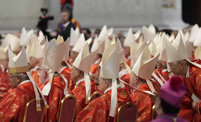 Cardinals attend a final Mass St. Peter's Basilica, before the conclave to elect a new pope, at the Vatican, Wednesday, May 7, 2025. (AP Photo/Gregorio Borgia)