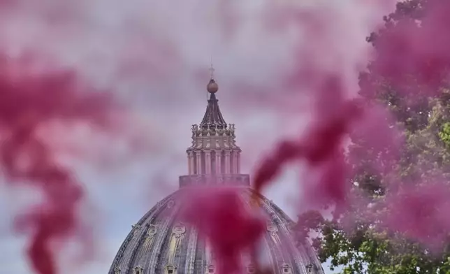 Pink smoke rises in front of St. Peter's Dome during a protest by the Women's Ordination Conference, calling for full equality for women in the Catholic Church on the first day of the conclave to elect the 267th pope, in Rome, Wednesday, May 7, 2025. (AP Photo/Bernat Armangue)