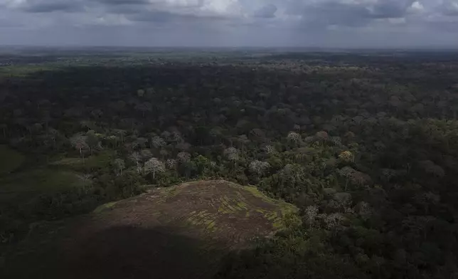 Land cleared for ranching in Santa Fe, Panama, Sunday, April 6, 2025. (AP Photo/Matias Delacroix)