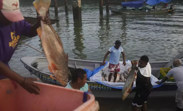 Fishermen unload their catch at Puerto Kimba, Panama, Saturday, April 5, 2025. (AP Photo/Matias Delacroix)