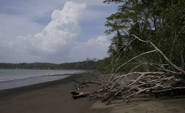 A view of the beach shore in Punta Patino, Panama, Saturday, April 5, 2025. (AP Photo/Matias Delacroix)
