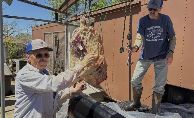 Cousins Arlin Rogers, right, and Ross Rogers unload slabs of beef outside their shop while talking about the jobs once provided by the coal-fired Cholla Power Plant, Wednesday, April 23, 2025, in Joseph City, Ariz. (AP Photo/Susan Montoya Bryan)