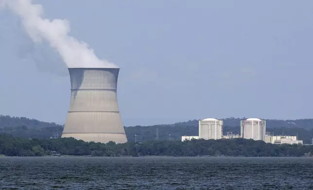 FILE - Arkansas Nuclear One and Two power plants generate electricity near London, Ark, Aug. 6, 2013. (AP Photo/Danny Johnston, File)