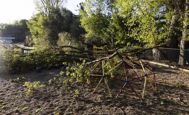 Trees lay in a playground in Dorr, Mich., after a severe storm ripped across Michigan the night before, on Friday, May 16. 2025. (Neil Blake /The Grand Rapids Press via AP)