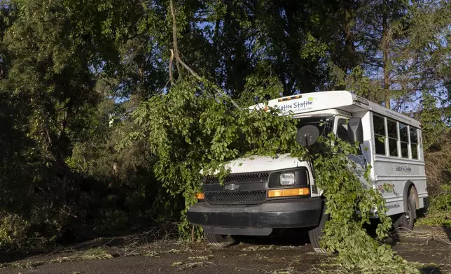 A tree branch covers a bus in Dorr, Mich., after a severe storm ripped across Michigan the night before, on Friday, May 16. 2025. (Neil Blake /The Grand Rapids Press via AP)