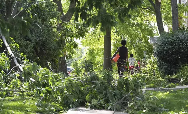 People navigate downed trees left in the wake of a severe storm moved through Friday, May 16, 2025, in St. Louis. (AP Photo/Jeff Roberson)