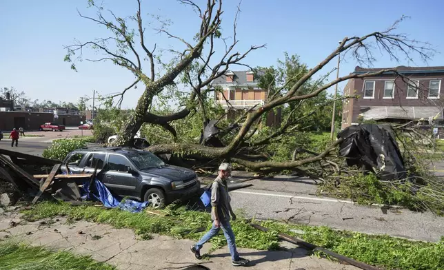 A person walks past a large tree blocking a road after a severe storm moved through Friday, May 16, 2025, in St. Louis. (AP Photo/Jeff Roberson)