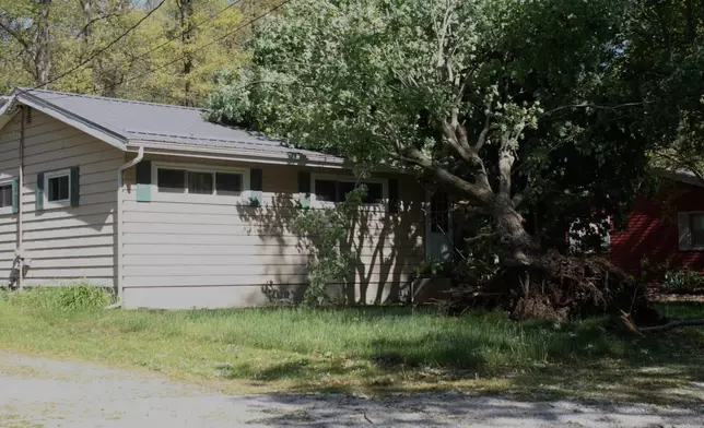 A tree is uprooted from Thursday night's storm in Trail Creek, Ind., on Friday, May 16, 2025. (Donavan Barrier /La Porte County Herald-Dispatch via AP)