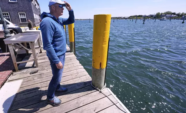 Endurance swimmer Lewis Pugh looks out at Edgartown Harbor, the ending point for his swim around Martha's Vineyard island, which is expected to take 12 days, Monday, May 12, 2025, in Edgartown, Mass. (AP Photo/Charles Krupa)