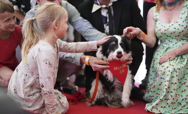 Lola, centre, receives the Palm Dog award on behalf of Panda, who could not attend, during the Palm Dog award ceremony at the 78th international film festival in Cannes, southern France, Friday, May 23, 2025. (AP Photo/Natacha Pisarenko)