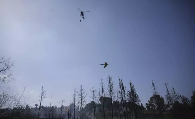 An Israeli fire crew helicopter battles a wildfire in Latrun, Israel, outside of Jerusalem, Thursday, May 1, 2025. (AP Photo/Ohad Zwigenberg)