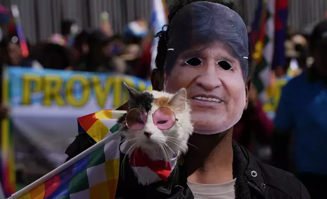A man wearing a mask depicting former President Evo Morales marches with his cat towards the offices of the Electoral Tribunal in El Alto, Bolivia, Friday, May 16, 2025. (AP Photo/Juan Karita)