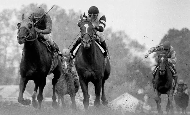 FILE - Affirmed, center, with Steve Cauthen in the irons, wins the 103rd running of the Preakness Stakes horse race at Pimlico Race Course in Baltimore, May 20, 1978. Alydar, left, was second. (AP Photo/File)