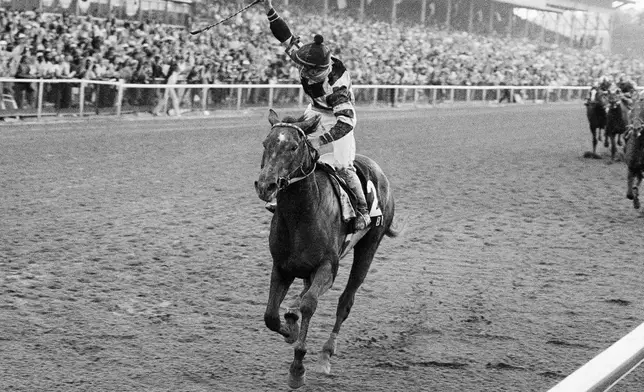 FILE - Spectacular Bid with jockey Ronnie Franklin in the irons crosses the finish line to win the Preakness Stakes horse race, Saturday, May 19, 1979 at Pimlico Race Track in Baltimore. (AP Photo/File)