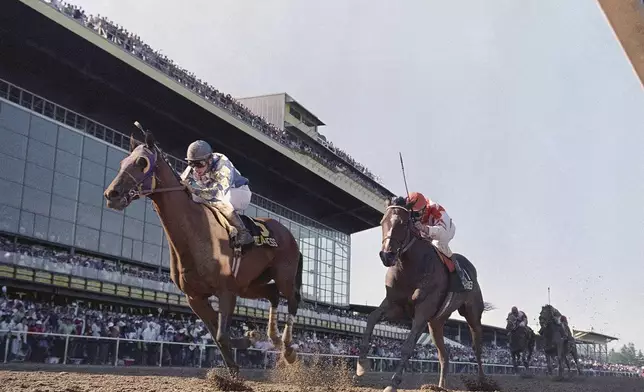 FILE - Alysheba, with Chris McCarron up, leads Bet Twice, right, at the finish to win the Preakness Stakes horse race at Pimlico Race Course in Baltimore, May 16, 1987. (AP Photo/Bob Daugherty, File)