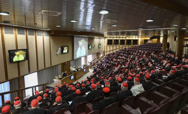 Pope Leo XIV meets the College of Cardinals in the New Synod Hall at the Vatican, Saturday, May 10, 2025. (Vatican Media via AP)