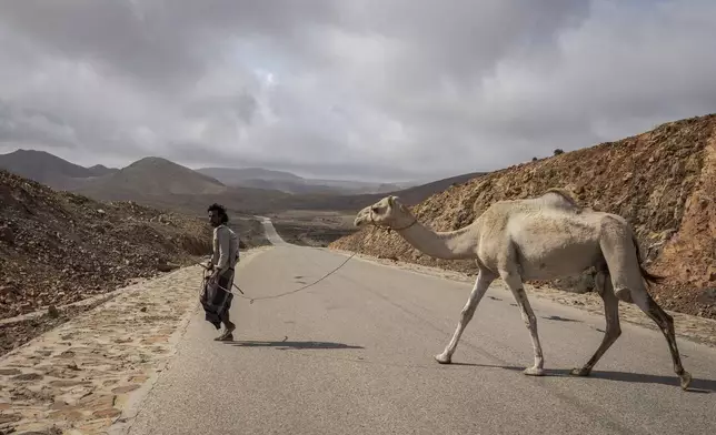 A camel herder crosses the road on the Yemeni island of Socotra on Sept. 23, 2024. (AP Photo/Annika Hammerschlag)