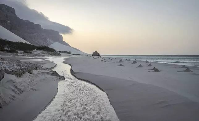 Ghost crab nests line the beach on the Yemeni island of Socotra on Sept. 22, 2024. (AP Photo/Annika Hammerschlag)