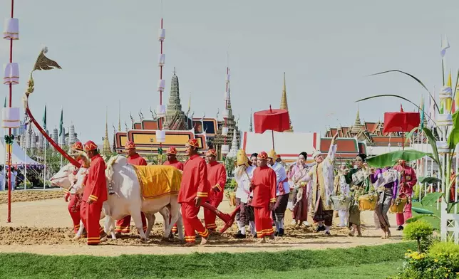 Thai master of the plowing ceremony Prayoon Inskul, center right, throws rice seeds to the field during a royal plowing ceremony in Bangkok, Thailand, Friday, May 9, 2025. (Sunti Teapia/Pool Photo via AP)