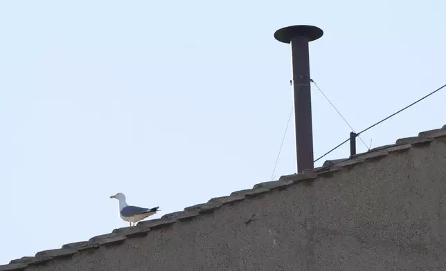The chimney atop the roof of the Sistine Chapel during the conclave, at the Vatican, Wednesday, May 7, 2025. (AP Photo/Andrew Medichini)