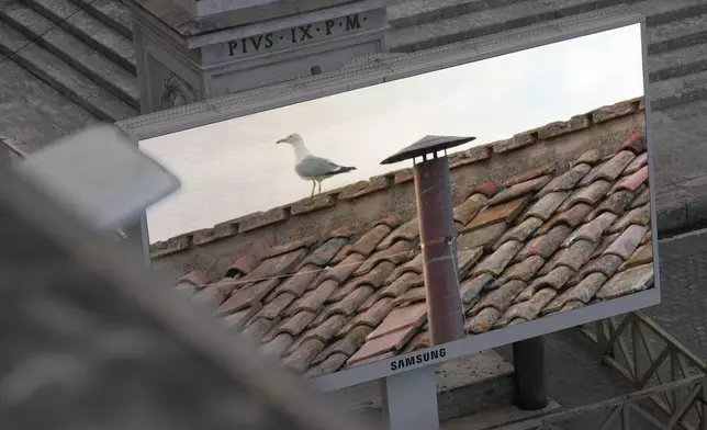 A giant screen in St Peter's Square shows a seagull near the chimney of the Sistine Chapel during the cardinals' conclave to elect a new pope, at the Vatican, Wednesday, May 7, 2025. (AP Photo/Luca Bruno)