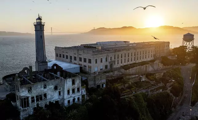 Birds fly above Alcatraz Island on Sunday, May 4, 2025, in the San Francisco Bay, Calif. (AP Photo/Noah Berger)