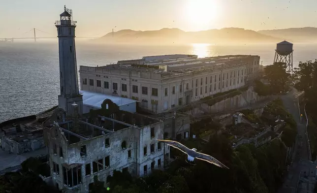 A bird flies above Alcatraz Island on Sunday, May 4, 2025, in the San Francisco Bay, Calif. (AP Photo/Noah Berger)