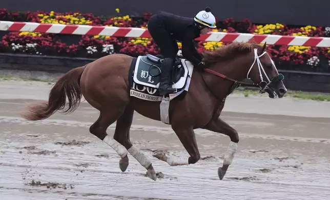 Preakness Stakes entrant American Promise works out at Pimlico Race Course, Thursday, May 15, 2025, in Baltimore. (AP Photo/Stephanie Scarbrough)