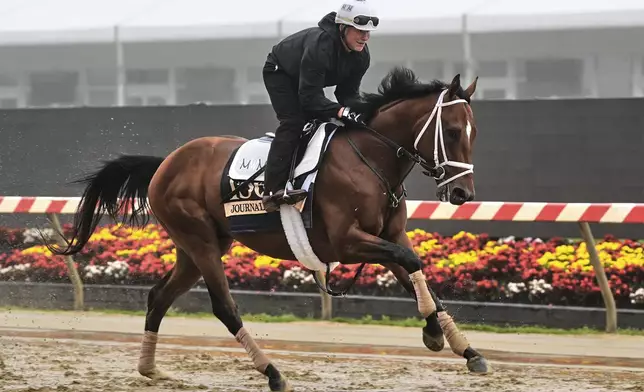 Preakness Stakes entrant Journalism works out at Pimlico Race Course, Thursday, May 15, 2025, in Baltimore. (AP Photo/Stephanie Scarbrough)