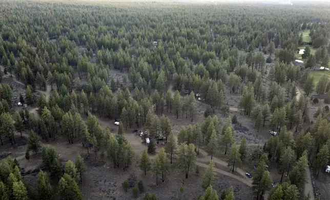 Trailers and RVs are seen at a homeless encampment in Deschutes National Forest, Wednesday, April 30, 2025, near Bend, Ore. (AP Photo/Jenny Kane)