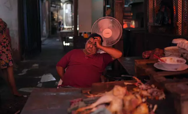FILE - A vendor sleeps near a fan on a hot afternoon at his shop at Market 4 in Asuncion, Paraguay, Jan. 17, 2025. (AP Photo/Jorge Saenz, File)