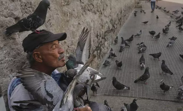 Jean Paul Correa Vasco feeds pigeons outside the Cathedral in Cartagena, Colombia, Thursday, May 8, 2025. (AP Photo/Rodrigo Abd)