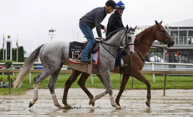 Preakness Stakes entrant Sandman, left, works out at Pimlico Race Course, Thursday, May 15, 2025, in Baltimore. (AP Photo/Stephanie Scarbrough)