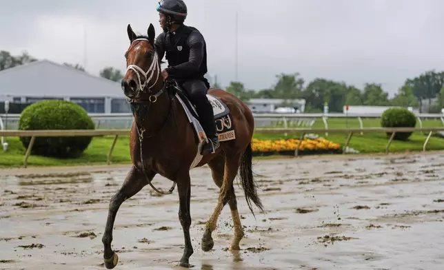 Preakness Stakes entrant River Thames works out at Pimlico Race Course, Thursday, May 15, 2025, in Baltimore. (AP Photo/Stephanie Scarbrough)