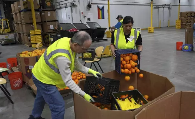 Volunteers pack produce at the Alameda County Community Food Bank in Alameda, Calif., on Friday, April 25, 2025. (AP Photo/Terry Chea)