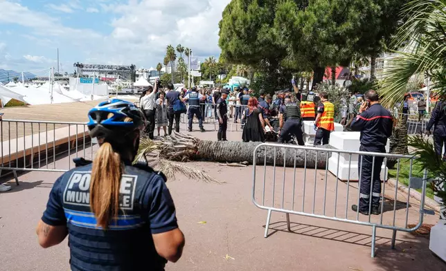 A palm tree fall on someone, and injured this person, on the Boulevard of La Croisette during the 78th international film festival, Cannes, southern France, Saturday, May 17, 2025. (Photo by Lewis Joly/Invision/AP)