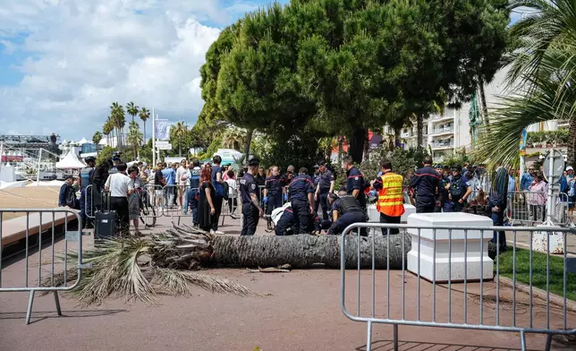 A palm tree fall on someone, and injured this person, on the Boulevard of La Croisette during the 78th international film festival, Cannes, southern France, Saturday, May 17, 2025. (Photo by Lewis Joly/Invision/AP)