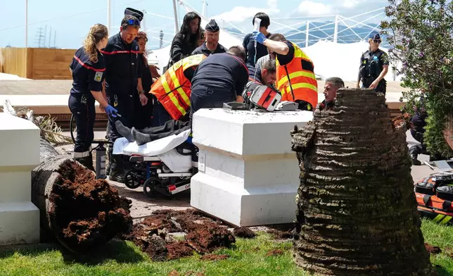 A palm tree fall on someone, and injured this person, on the Boulevard of La Croisette during the 78th international film festival, Cannes, southern France, Saturday, May 17, 2025. (Photo by Lewis Joly/Invision/AP)