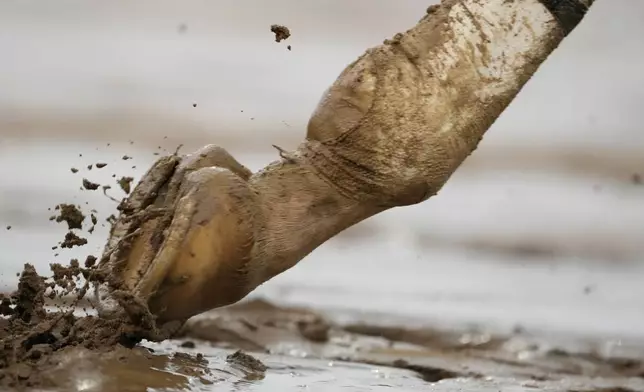 A horse trots in the muddy track at Churchill Downs before the 151st running of the Kentucky Derby horse race Saturday, May 3, 2025, in Louisville, Ky. (AP Photo/Brynn Anderson)