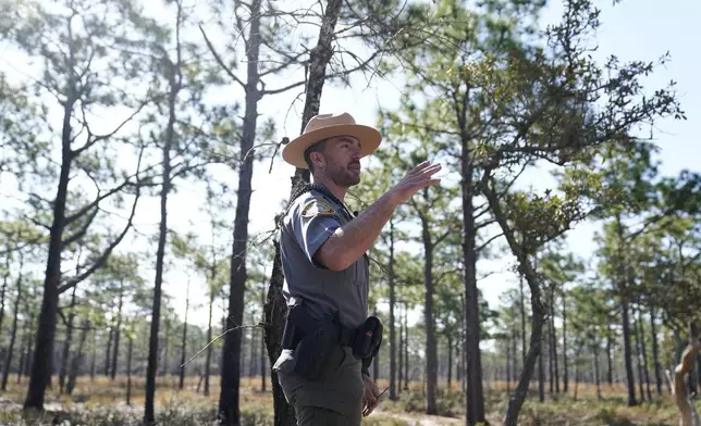Park ranger Jesse Anderson speaks during a weekly carnivorous plant hike Saturday, March 22, 2025, in Carolina Beach, N.C. (AP Photo/Erik Verduzco)