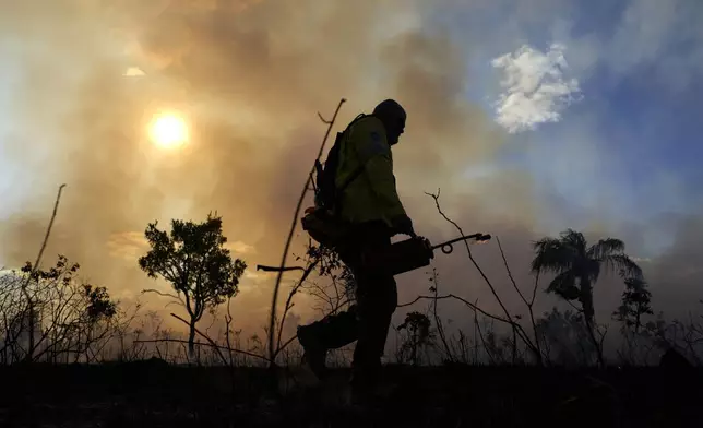 A firefighter sets the forest ablaze as part of a controlled plan to prevent wildfires in the Cerrado region, at a national park in Brasilia, Brazil, Tuesday, May 20, 2025. (AP Photo/Eraldo Peres)