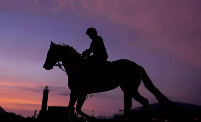 A horse works out at Pimlico Race Course ahead of the 150th running of the Preakness Stakes, Friday, May 16, 2025, in Baltimore. (AP Photo/Julia Demaree Nikhinson)